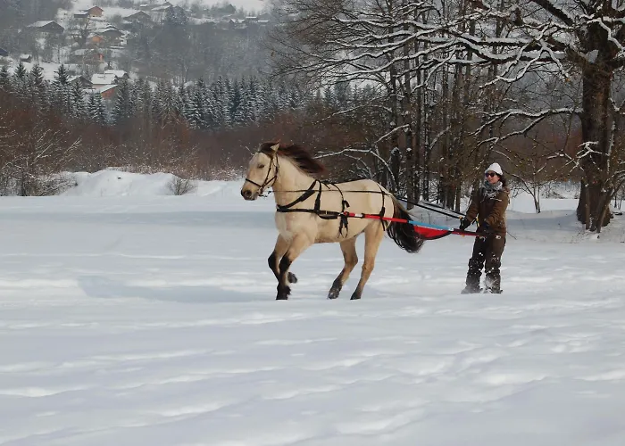 Odalys Le Buet Aparthotel Morillon